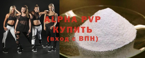 ГАЛЛЮЦИНОГЕННЫЕ ГРИБЫ Ельня