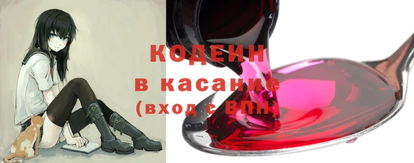 ГАЛЛЮЦИНОГЕННЫЕ ГРИБЫ Ельня