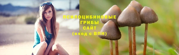 альфа пвп Елабуга