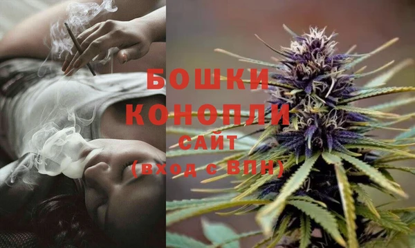 спайс Елизово