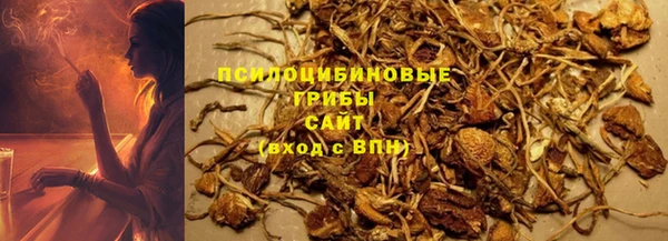 ГАЛЛЮЦИНОГЕННЫЕ ГРИБЫ Ельня