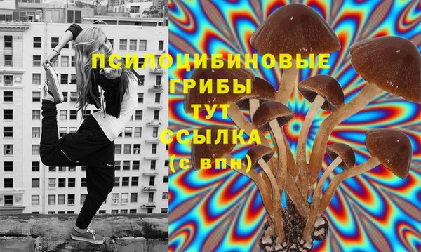 спайс Елизово