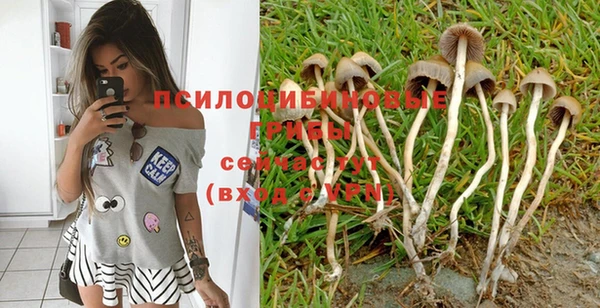 ГАЛЛЮЦИНОГЕННЫЕ ГРИБЫ Ельня