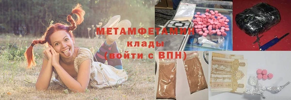 ГАЛЛЮЦИНОГЕННЫЕ ГРИБЫ Ельня