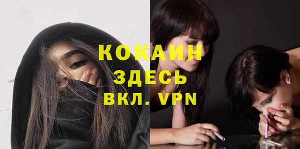 ГАЛЛЮЦИНОГЕННЫЕ ГРИБЫ Ельня