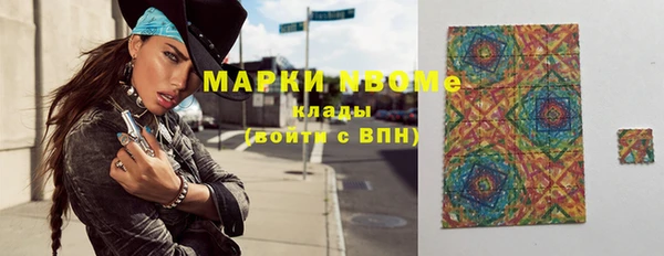ГАЛЛЮЦИНОГЕННЫЕ ГРИБЫ Ельня