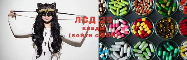 ГАЛЛЮЦИНОГЕННЫЕ ГРИБЫ Ельня