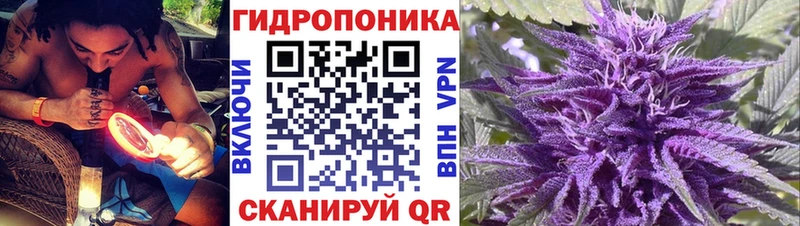 OMG ONION  Электроугли  Бошки марихуана ГИДРОПОН  цена наркотик 